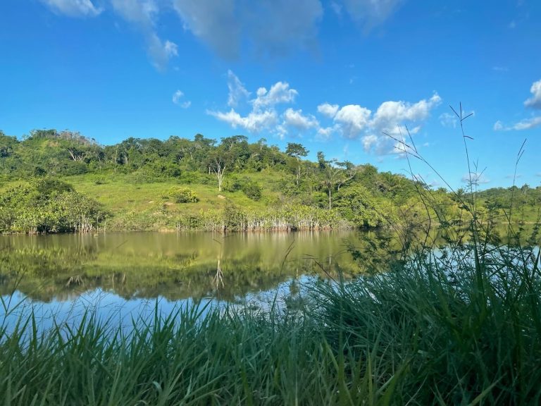 Natural water reservoir and green landscape at the Belo Sun Mining.