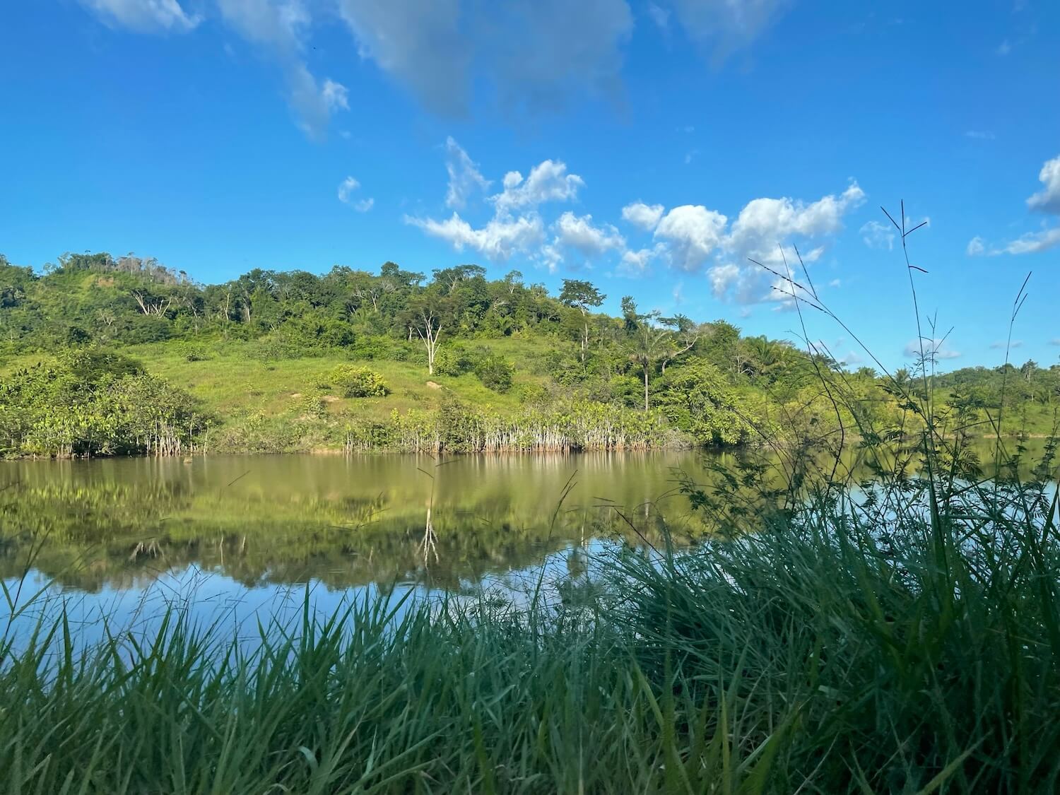 Natural water reservoir and green landscape at the Belo Sun Mining.