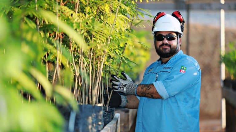 G Mining Ventures worker wearing protective gear inspecting tree saplings at a plant nursery for environmental reforestation initiatives.