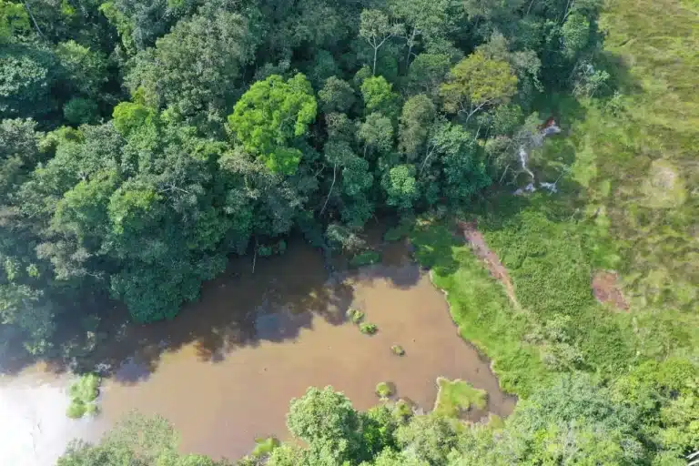 Aerial view of a natural water basin and dense rainforest vegetation surrounding the G Mining Ventures project area.