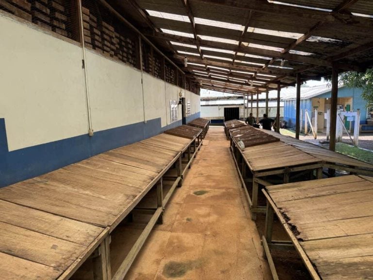 Interior view of a covered workspace lined with long wooden tables at a Belo Sun Mining community facility.