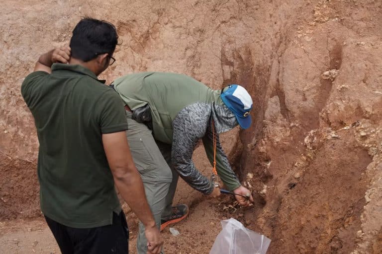 Greenheart Gold field technicians taking soil and rock samples from an excavated site.